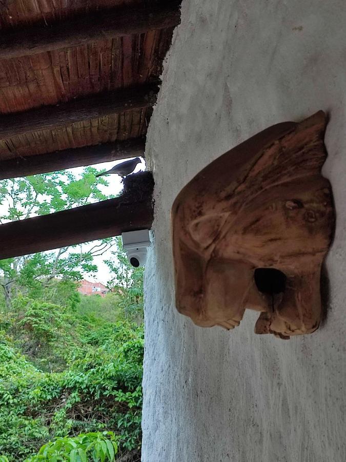 Las Cabezas Grises Барічара Екстер'єр фото